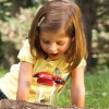 Наука для малышей. Баночки для изучения насекомых (6 шт.) - Файв - оснащение школ и детских садов