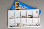 Коллекция. Раковины моллюсков - Файв - оснащение школ и детских садов