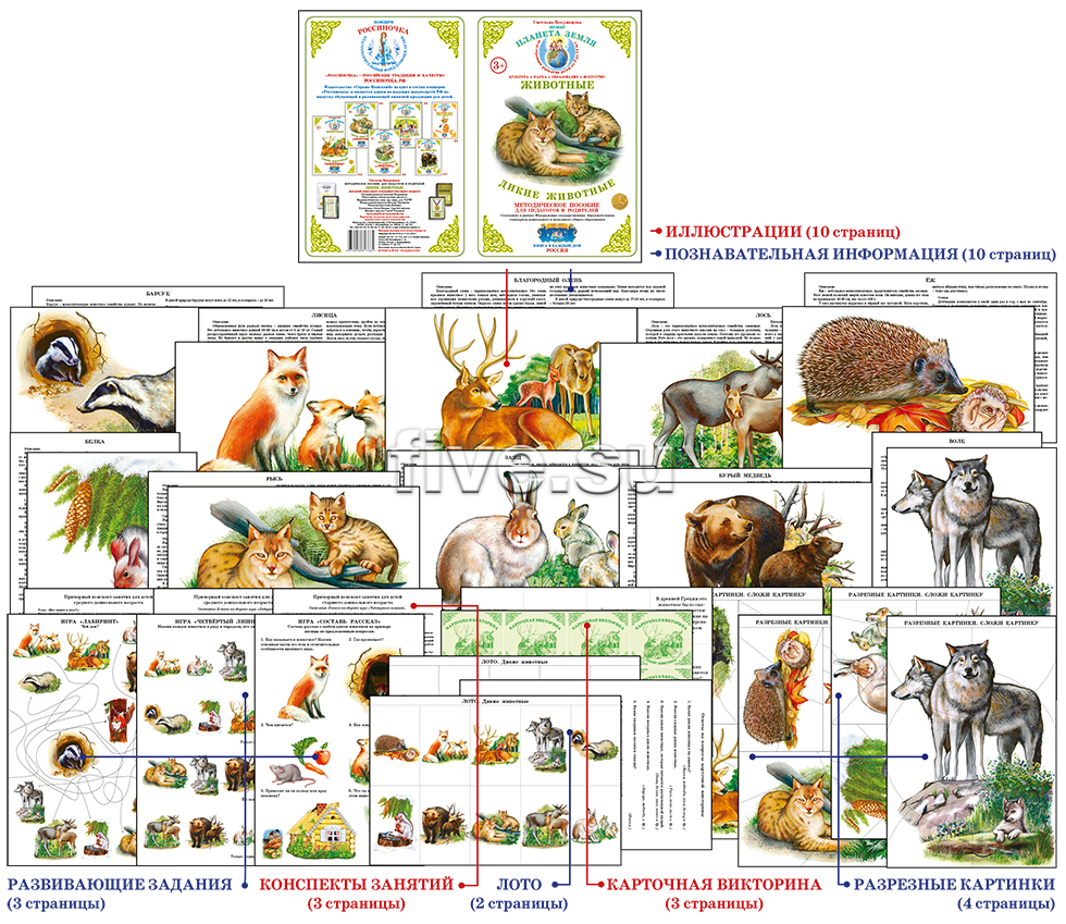 Методическое пособие с приложением. Дикие животные (в папке, формат А4, 20  листов)
