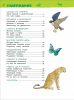 Удивительные животные. Энциклопедия для детского сада - Файв - оснащение школ и детских садов