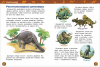 Динозавры. Энциклопедия для детского сада - Файв - оснащение школ и детских садов