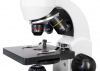 Микроскоп Levenhuk Rainbow 50L PLUS - Файв - оснащение школ и детских садов