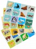 Комплект плакатов. Животные разных широт (4 пл., 42х30 см) - Файв - оснащение школ и детских садов