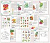 Тетрадь общения и развития. Урожай. Овощи (формат А4, 10 листов) - Файв - оснащение школ и детских садов
