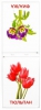 Обучающие карточки по методике Г. Домана. Цветы - Файв - оснащение школ и детских садов