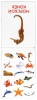 Обучающие карточки по методике Г. Домана. Морские животные - Файв - оснащение школ и детских садов
