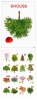Обучающие карточки по методике Г. Домана. Деревья - Файв - оснащение школ и детских садов