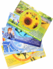 Комплект плакатов. Экология (4 пл., 42х30 см) - Файв - оснащение школ и детских садов