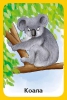 Обучающие карточки. Животные Австралии - Файв - оснащение школ и детских садов