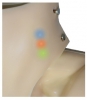 Гриша-04. Робот-тренажер для обучения навыкам СЛР со световой индикацией - Файв - оснащение школ и детских садов