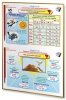 Интерактивные плакаты. Русский язык. 1-4 классы - Файв - оснащение школ и детских садов
