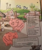 Киндерномика. Книга-игра по финансовой грамотности для детей - Файв - оснащение школ и детских садов