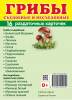 Комплект карточек. Грибы съедобные и несъедобные (в папке, 16 дем. и 16 раздат.) - Файв - оснащение школ и детских садов