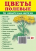 Демонстрационные картинки. Цветы полевые (16 раздаточных карточек с названием) - Файв - оснащение школ и детских садов