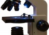 Цифровой микроскоп Levenhuk Rainbow D2L - Файв - оснащение школ и детских садов