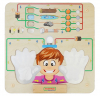 Панель Проводимость тока - Файв - оснащение школ и детских садов