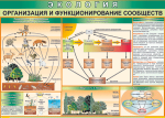 Таблица. Экология. Организация и функционирование сообществ (70х100 см, винил) - Файв - оснащение школ и детских садов