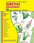 Демонстрационные картинки. Цветы полевые (16 шт. с текстом на обороте) - Файв - оснащение школ и детских садов