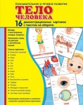 Демонстрационные картинки. Тело человека (16 шт. с текстом на обороте) - Файв - оснащение школ и детских садов