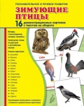 Демонстрационные картинки. Зимующие птицы (16 шт. с текстом на обороте) - Файв - оснащение школ и детских садов