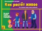 Демонстрационный материал. 4-7 лет. Как растет живое - Файв - оснащение школ и детских садов