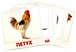 Домашние животные. 20 развивающих карточек - Файв - оснащение школ и детских садов