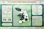 Стенд электрифицированный. Устройство микроскопа и правила работы c ним - Файв - оснащение школ и детских садов