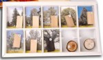 Коллекция Древесные растения и их распространение (раздаточная) - Файв - оснащение школ и детских садов