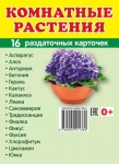 Демонстрационные картинки. Комнатные растения (16 раздаточных карточек с названием) - Файв - оснащение школ и детских садов