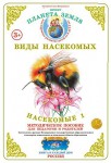 Методическое пособие с приложением. Насекомые 1 (в папке, формат А4, 20 листов) - Файв - оснащение школ и детских садов