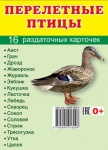 Демонстрационные картинки. Перелетные птицы (16 раздаточных карточек с названием) - Файв - оснащение школ и детских садов