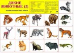 Плакат Дикие животные 2 - Файв - оснащение школ и детских садов