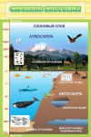Стенд. Строение биосферы (60х90 см) - Файв - оснащение школ и детских садов
