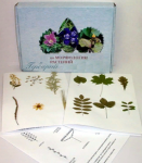 Гербарий. Морфология растений (5 тем, 18 видов) - Файв - оснащение школ и детских садов