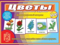 Демонстрационный материал.  Цветы (лесные, луговые, садовые) - Файв - оснащение школ и детских садов