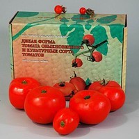 Набор муляжей. Дикая форма и культурные сорта томатов - Файв - оснащение школ и детских садов