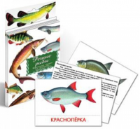 Дидактические карточки. Речные рыбы - Файв - оснащение школ и детских садов