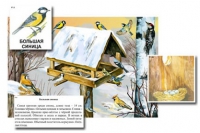Магнитный плакат-аппликация. Птицы зимой. Биоразнообразие и экологические группы - Файв - оснащение школ и детских садов