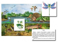 Магнитный плакат-аппликация. Водоем. Биоразнообразие и взаимосвязи в сообществе - Файв - оснащение школ и детских садов
