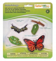 Набор обучающий. Жизненный цикл бабочки монарх - Файв - оснащение школ и детских садов