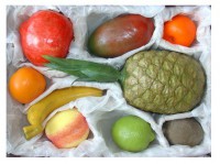 Набор муляжей. Тропические фрукты - Файв - оснащение школ и детских садов