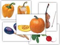 Набор предметных картинок. Овощи. Музыкальные инструменты (48 шт., А4, с магнитами) - Файв - оснащение школ и детских садов