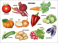 Плакат Овощи - Файв - оснащение школ и детских садов