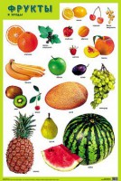 Плакат Фрукты и ягоды - Файв - оснащение школ и детских садов