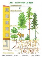 Плакат Лес - многоэтажный дом - Файв - оснащение школ и детских садов