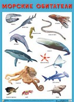 Плакат Морские обитатели - Файв - оснащение школ и детских садов