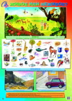 Плакат Живое или неживое - Файв - оснащение школ и детских садов