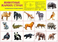 Плакат Животные жарких стран - Файв - оснащение школ и детских садов
