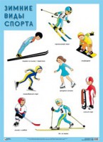 Плакат Зимние виды спорта - Файв - оснащение школ и детских садов