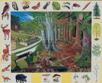 Магнитный плакат. Природное сообщество леса  - Файв - оснащение школ и детских садов